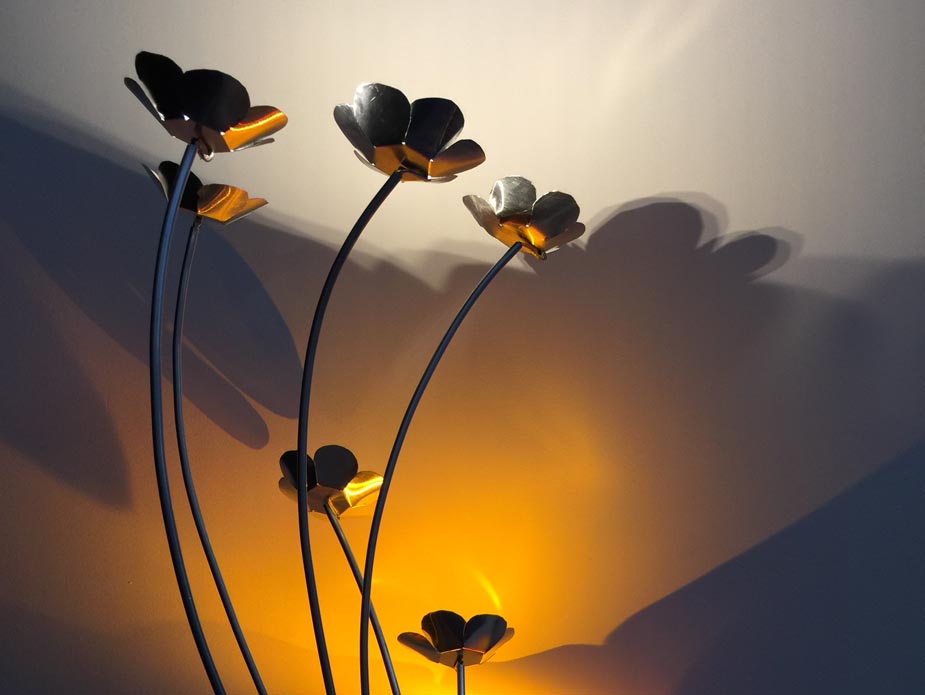 orange-ish evening light