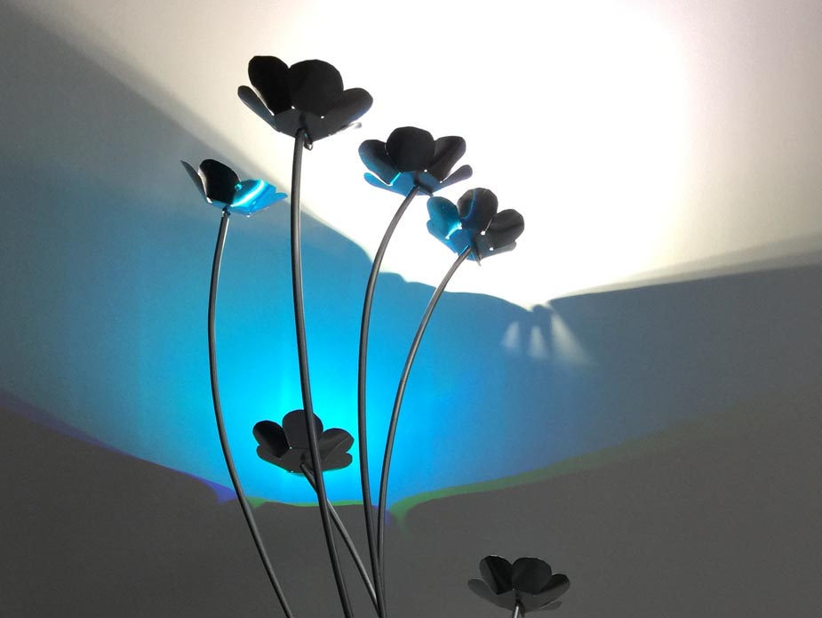 blue-ish morning light