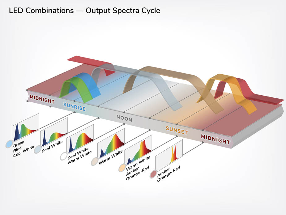 multi-dimensional graph